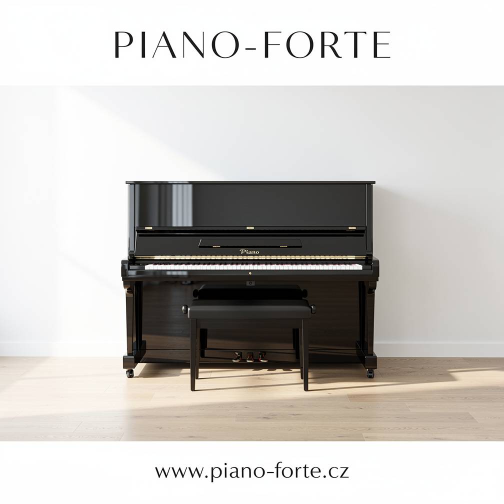 Plakát PIANO-FORTE s pianinem